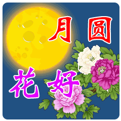 月圆 花好