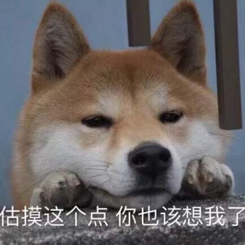 店摸这个点你也该想我了