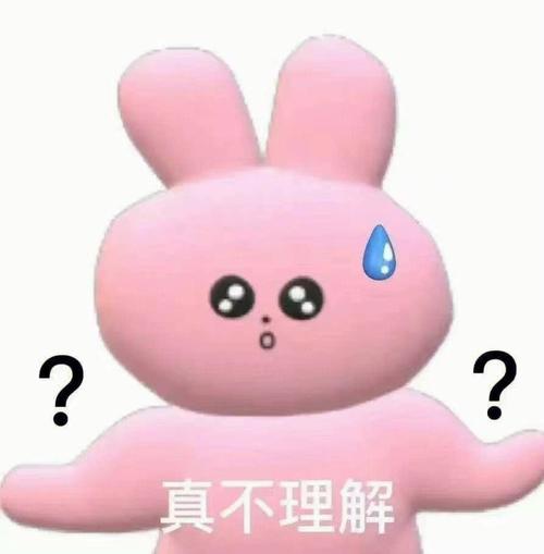 真不理解