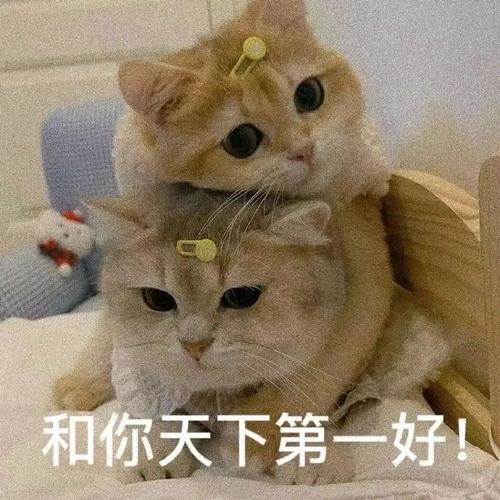 和你天下第一好！