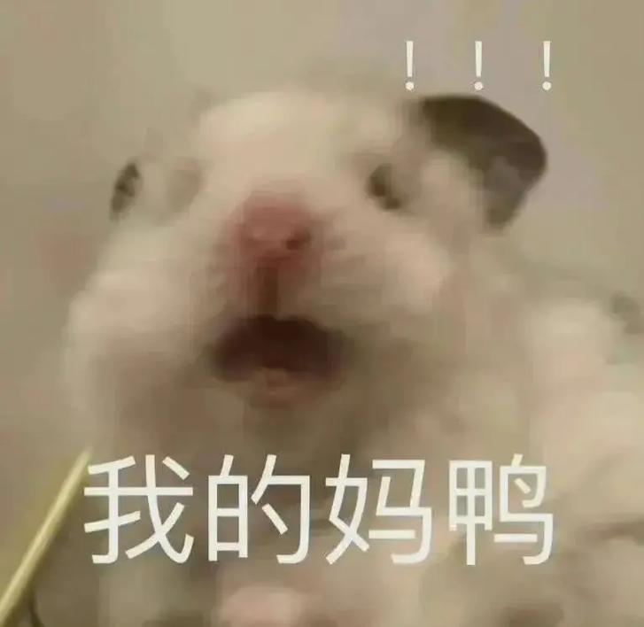我的妈妈