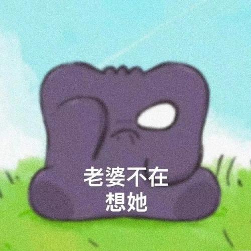 老婆不在 想她