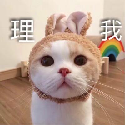 理 我