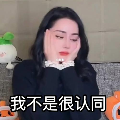 我不是很认同