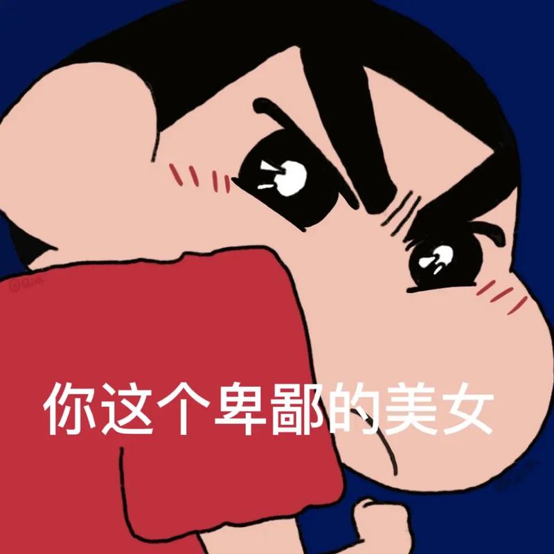 你这个卑鄙的美女