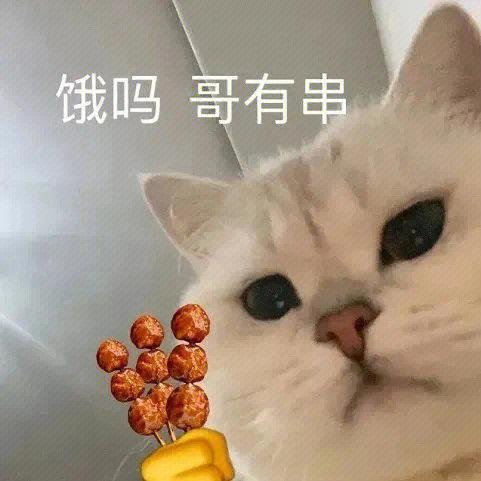 "饿吗哥有串可爱的萌系表情包推荐"