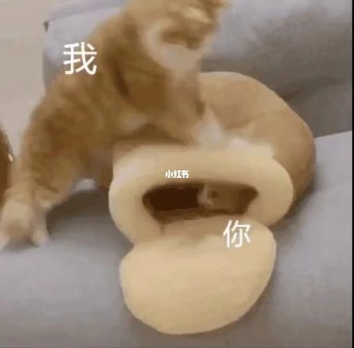我  你
