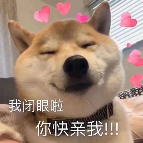 我闭眼啦 你快亲我！！！