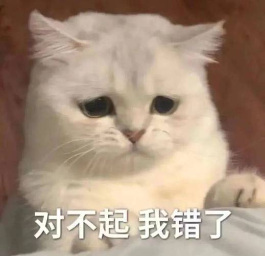 对不起我错了-情侣日常对话表情包（道歉神器）
