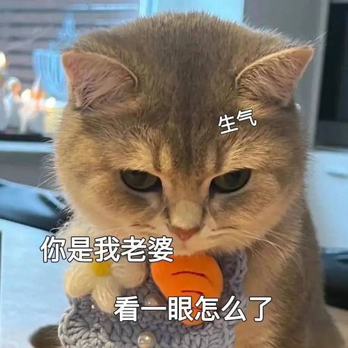 生气 你是我老婆 看一眼怎么了