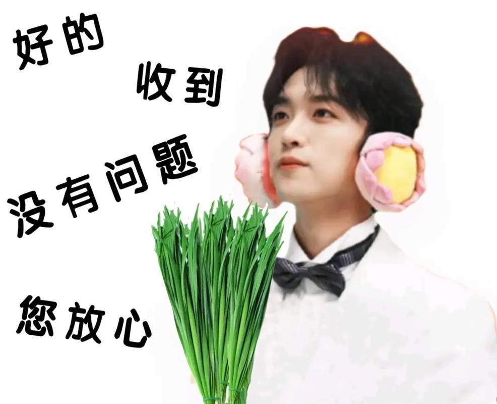 好的 收到 没有问题 您放心