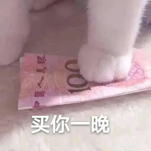 情侣浪漫夜晚表情包   买你一晚。
