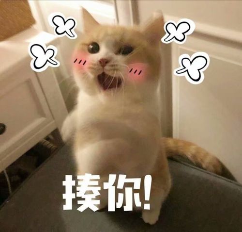 揍你！