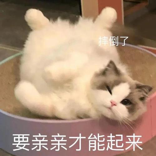 摔倒了 要亲亲才能起来