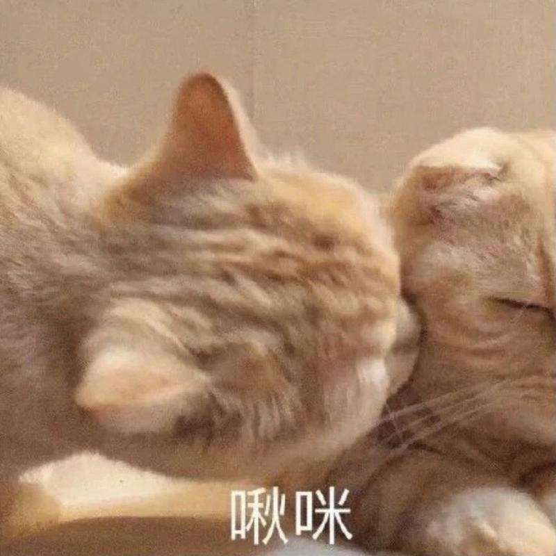 咻咪