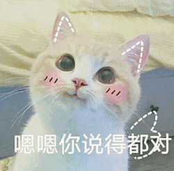 嗯嗯你说得都对