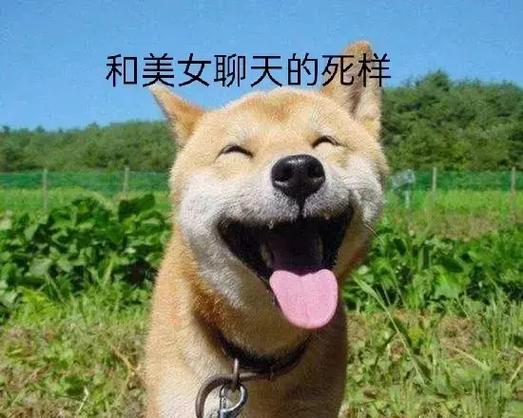 和美女聊天的死样