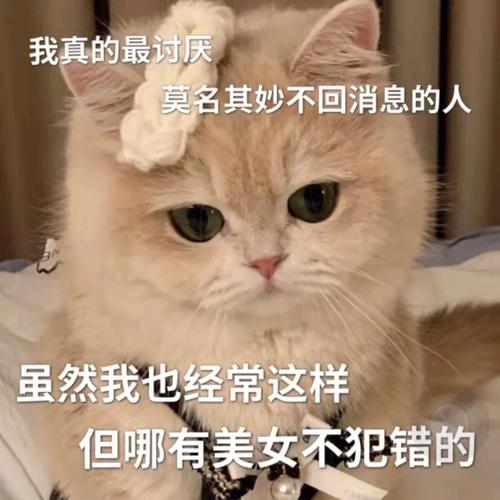 我真的最讨厌 莫名其妙不回消息的人 虽然我也经常这样 但哪有美女不犯错的