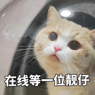 在线等一位靓仔