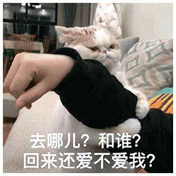 去哪儿？和谁？ 回来还不爱我？