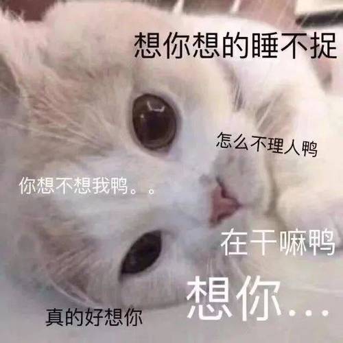 想你想的睡不捉 怎么不理人鸭 你想不想我鸭。 在干嘛鸭 想你 真的好想你