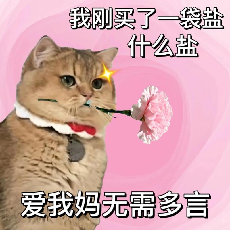 我刚买了一袋盐 什么盐 爱我妈无需多言