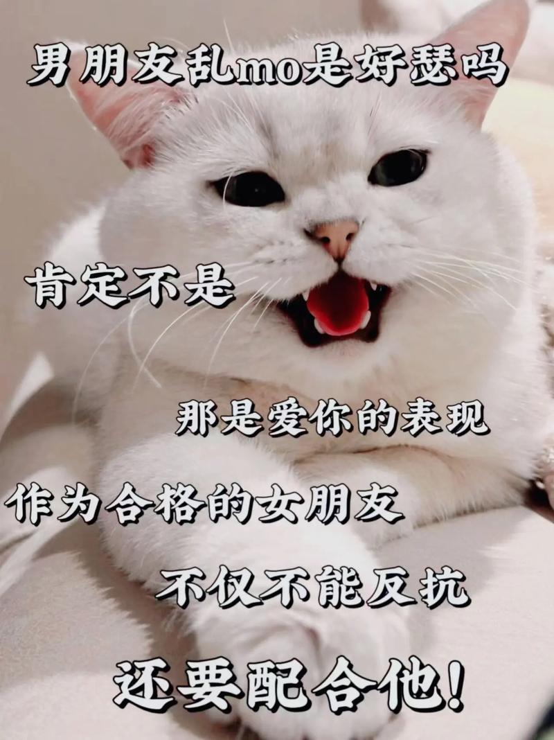 男朋友乱mo是好悲吗 肯定不是 那是爱你的表现 作为合格的女朋友 不仅不能反抗 还要配合他！