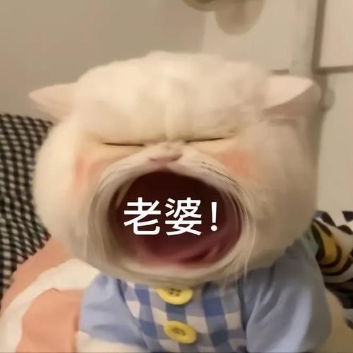 老婆！