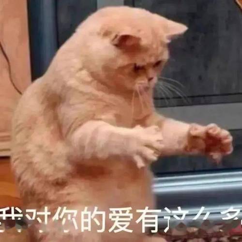 封你的爱有