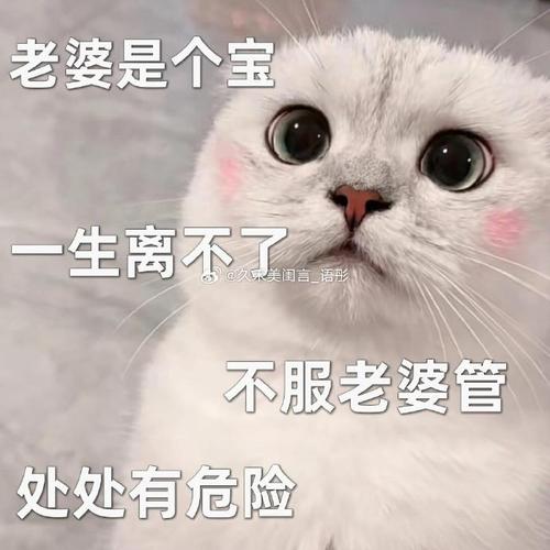 老婆是个宝 一生离不了 @久采美闻言语彤 不服老婆管 处处有危险