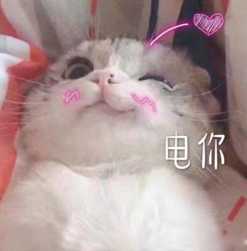 n 电你