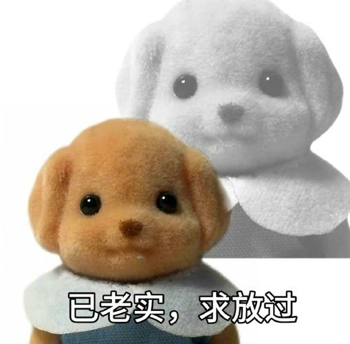 已老实，求放过