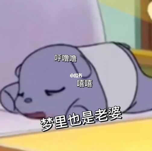 呼噜噜  嘻嘻 梦里也是老婆