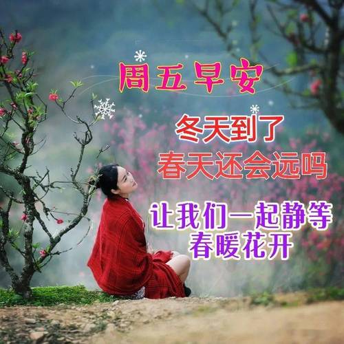 周五早安 冬天到了 春天还会远吗 让我们一起静等 春暖花开