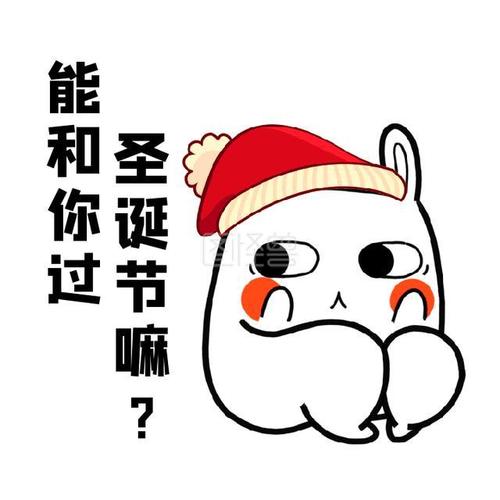 能和你过 圣诞节嘛