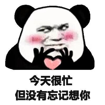 今天很忙 但没有忘记想你