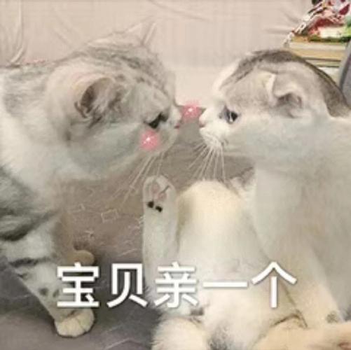 好用的情侣撒娇表情包：宝贝亲一个