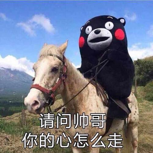 请问帅哥 你的心怎么走