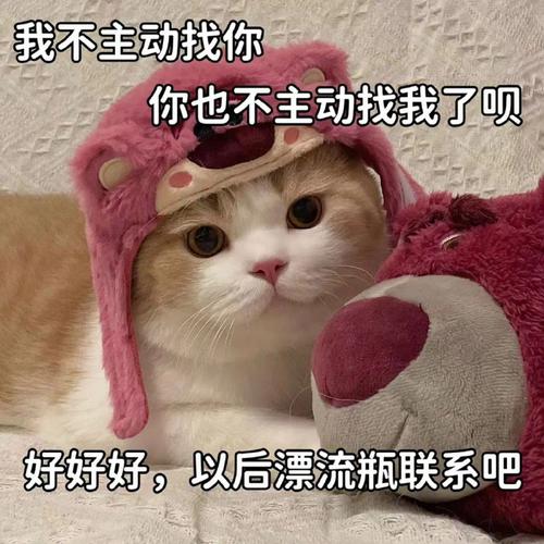 我不主动找你 你也不主动找我了呗 好好好，以后漂流瓶联系吧
