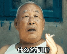 什么冬梅啊？
