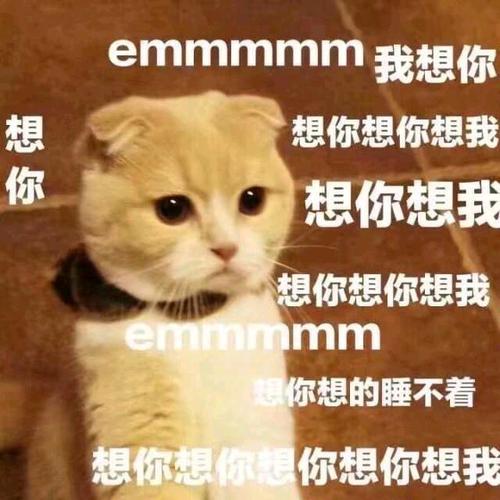 emmmmmm我想你 想你 想你想你想我 想你想我 想你想你想我 emmmmmm 想你想的睡不着 想你想你想你 想你想你想我