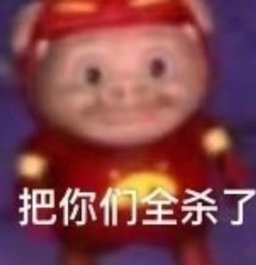 把你们全杀了