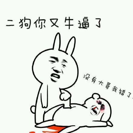 二狗你又牛逼了 没有大哥我错了