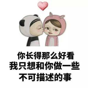 你长得那么好看 我只想和你做一些 不可描述的事
