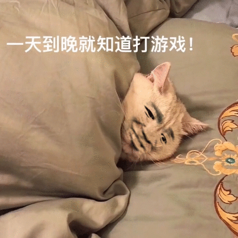 一天到晚就知道打游戏！