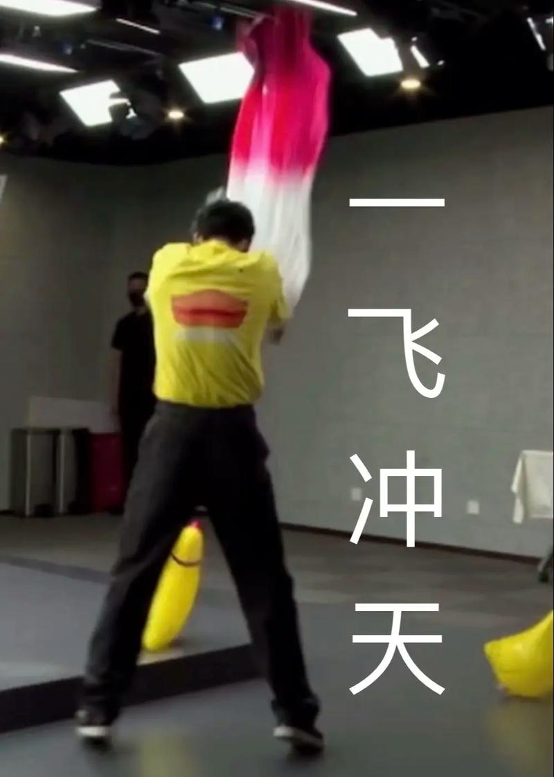 一飞冲天 最新搞笑表情包 – 于适发明的 hilarity!