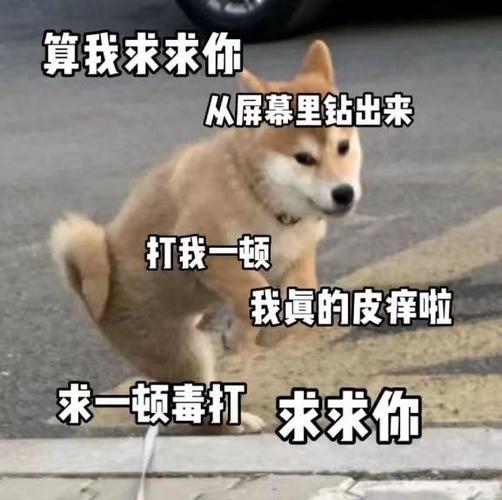 算我求求你 从屏幕里钻出来 打我一顿 我真的皮痒啦 求一顿毒打 求求你