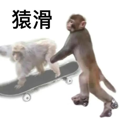 猿滑：搞笑斗图、表情包必备