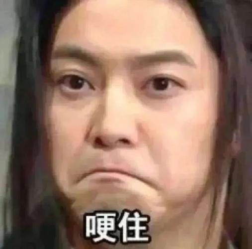 喔住   打造你的实用斗图表情包