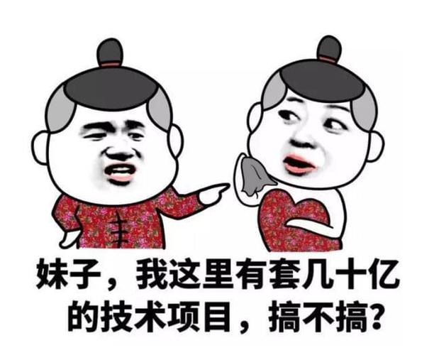 妹子，我这里有套几十亿 的技术项目，搞不搞？